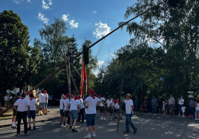 Bamaufstelln