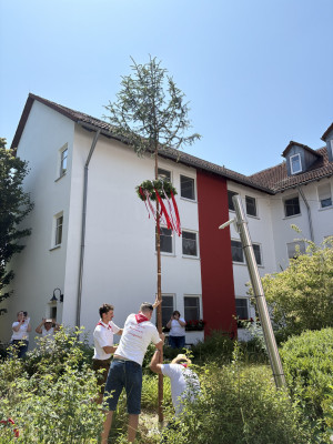 kerwa25 baumaufstellen awo