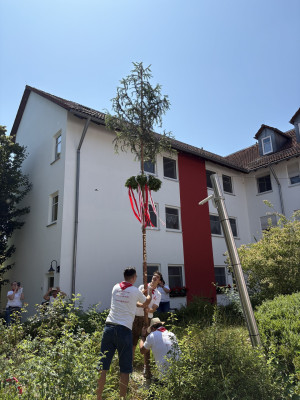 kerwa25 baumaufstellen awo