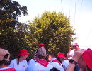 kerwa26 bamhulln