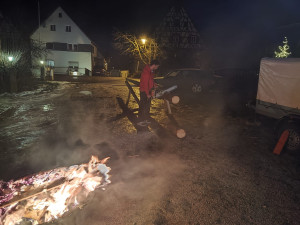 whatsapp image 2026 01 at.23.44